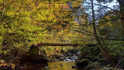 道しるべと紅葉