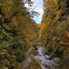 面白山紅葉川渓谷