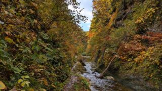 面白山紅葉川渓谷