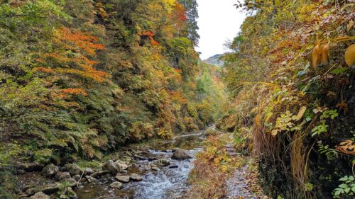 紅葉川渓谷