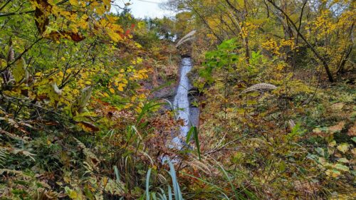 紅葉川渓谷