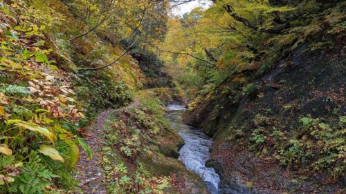 紅葉川渓谷