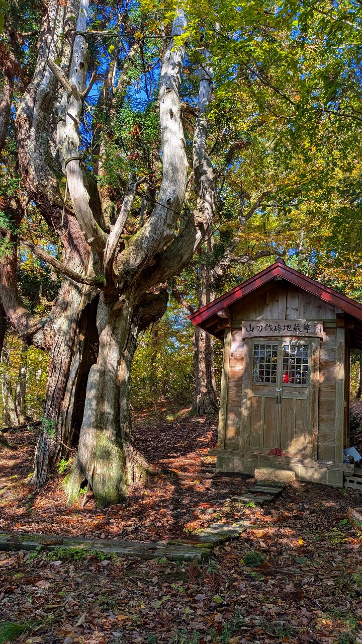 子持杉と子宝地蔵