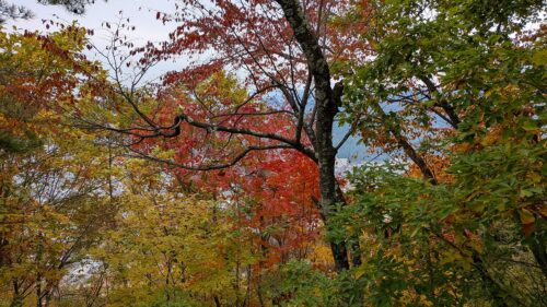 山頂の紅葉