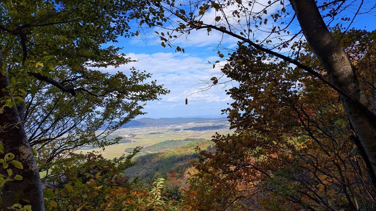 中腹からの鶴岡市内
