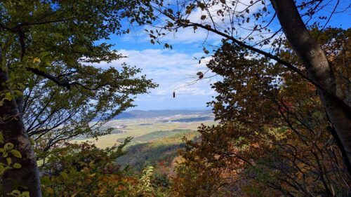 中腹からの鶴岡市内