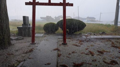 ひょうで雨宿り