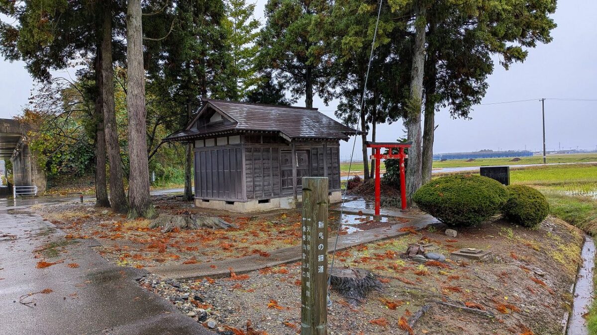 ひょうで雨宿り