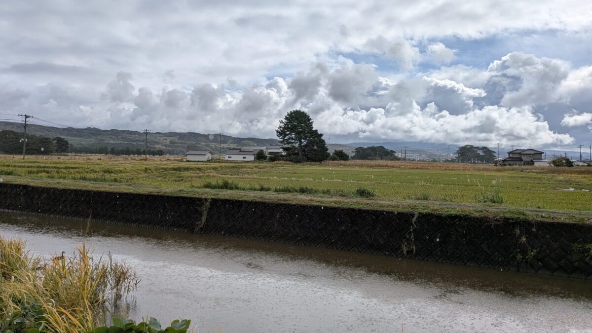 入江で島が浮かんでた