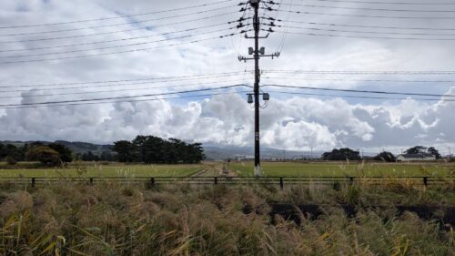入江で島が浮かんでた