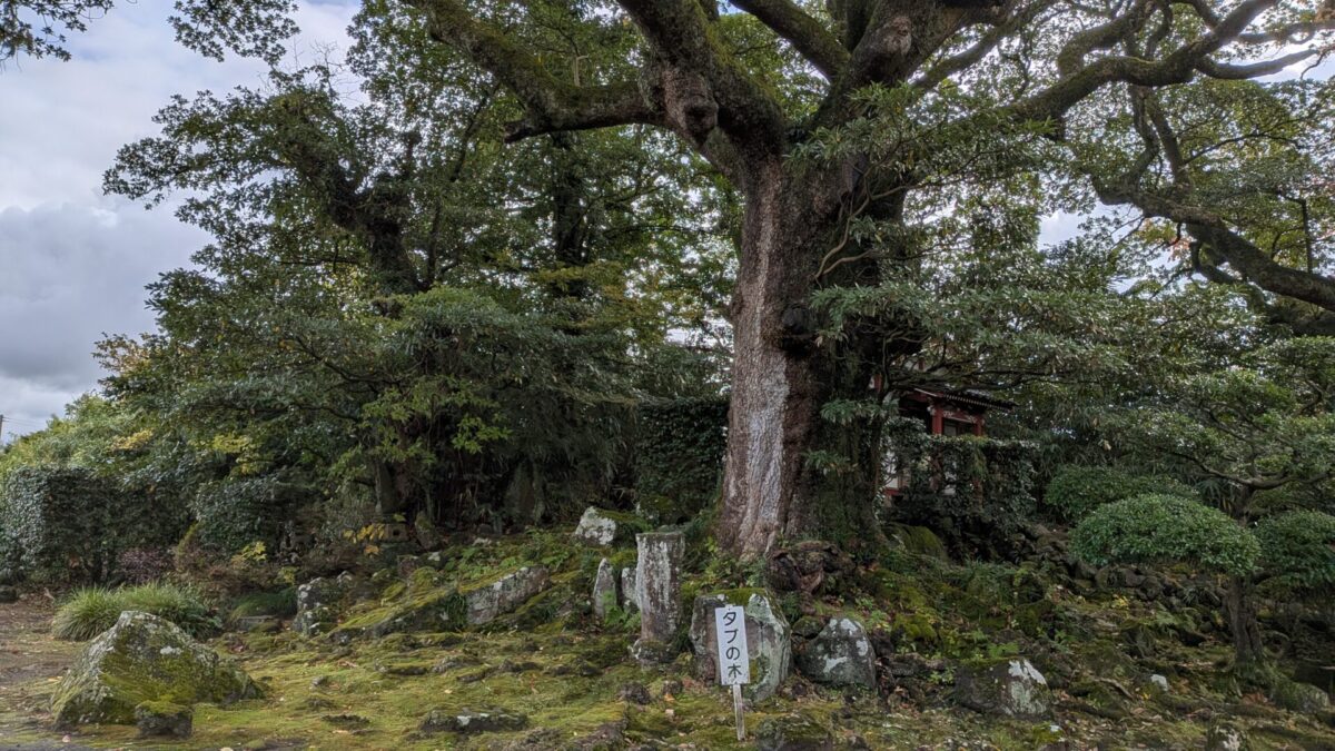 蚶満寺（かんまんじ）