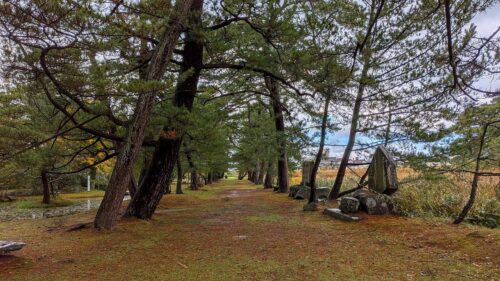 蚶満寺（かんまんじ）庭園