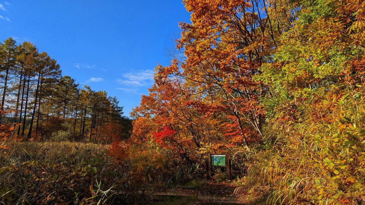 羽黒自然の小径