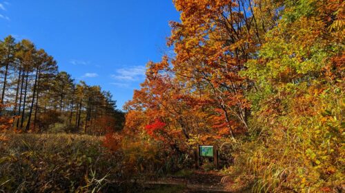 羽黒自然の小径