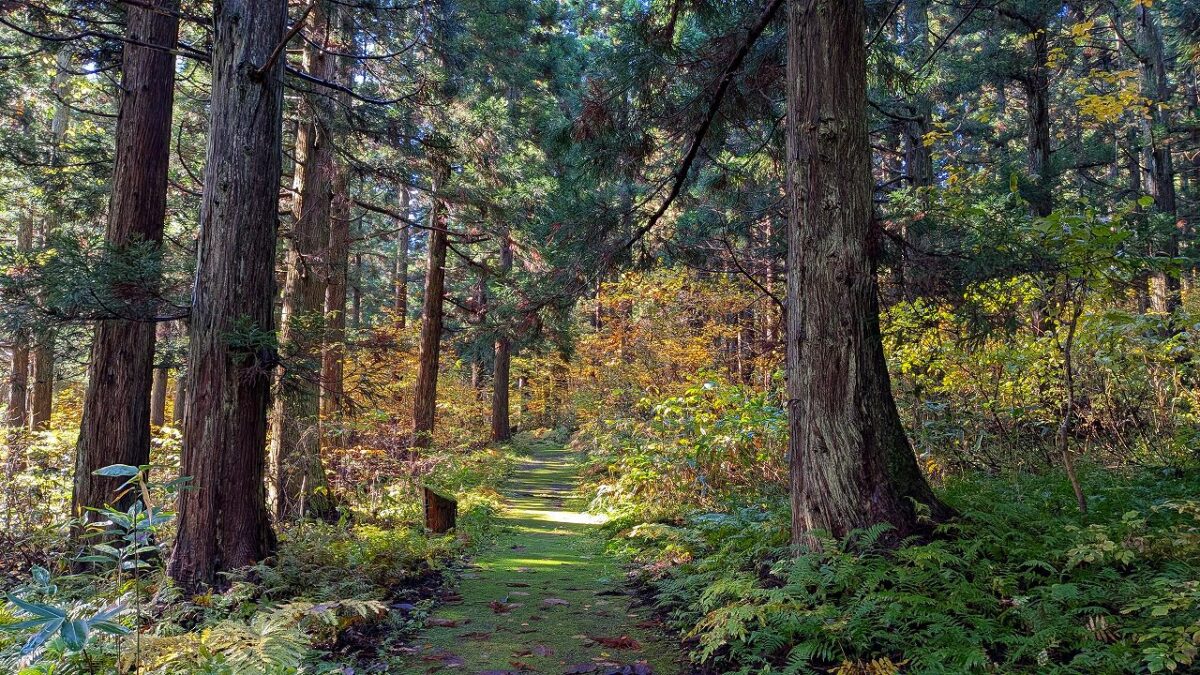 羽黒自然の小径