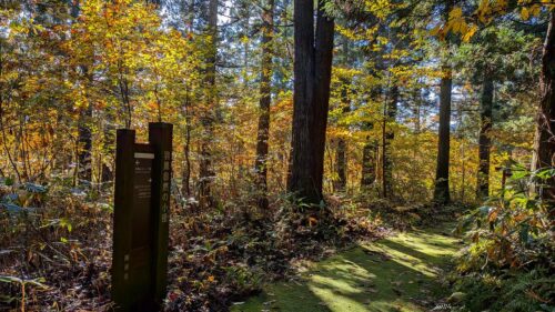 羽黒自然の小径