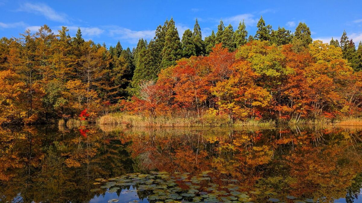 羽黒自然の小径