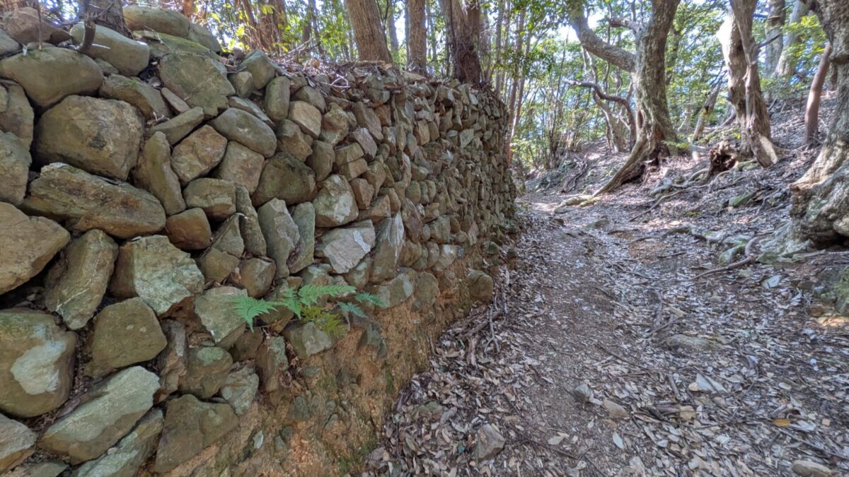 26番金剛頂寺へんろ道