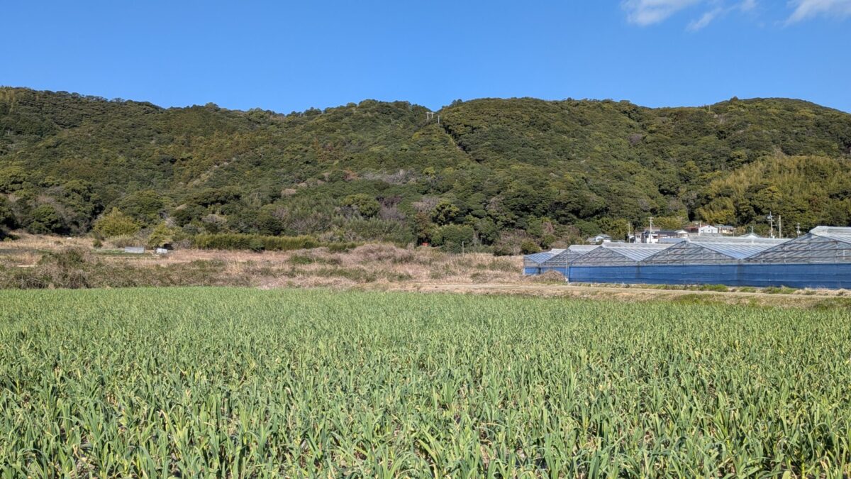 26番金剛頂寺へんろ道
