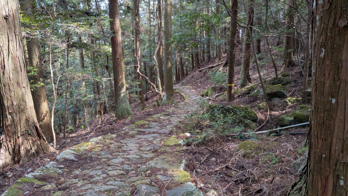 鶴林寺道/下り
