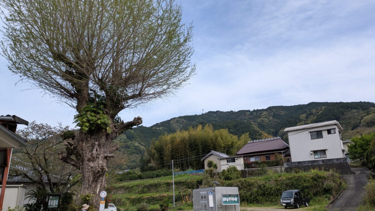 生名バス停