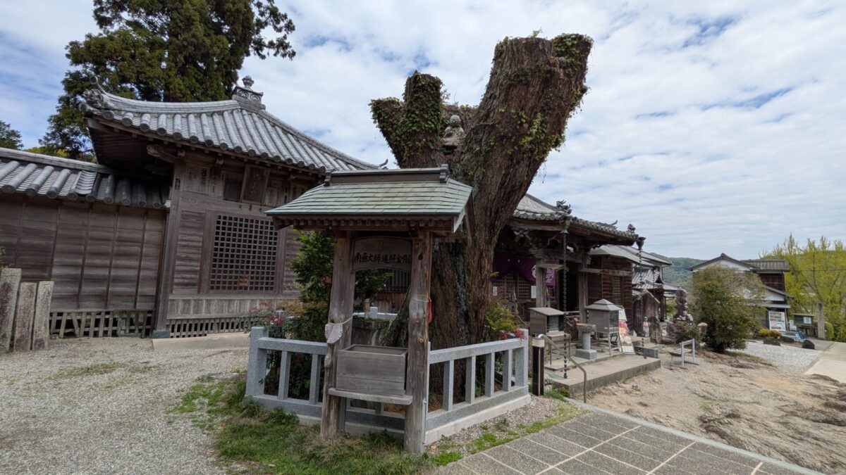 アララギ大師