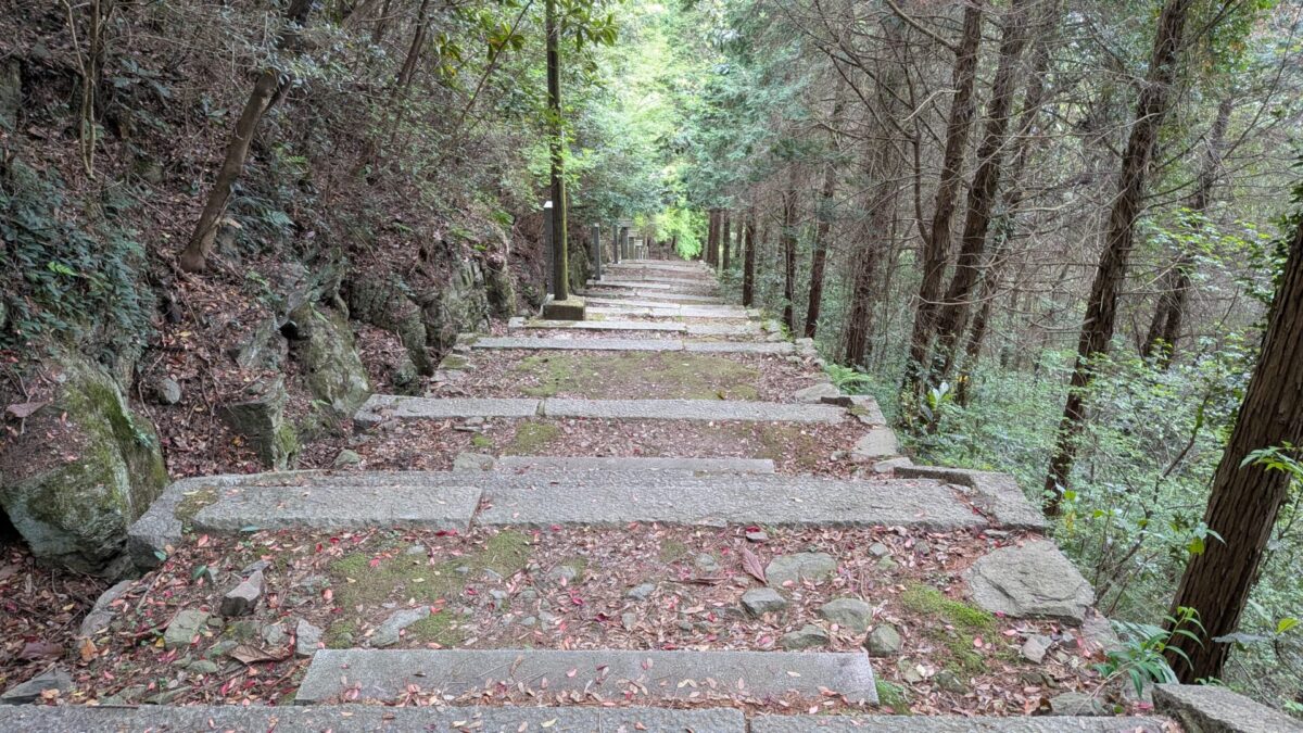 81番白峯寺下り長い階段