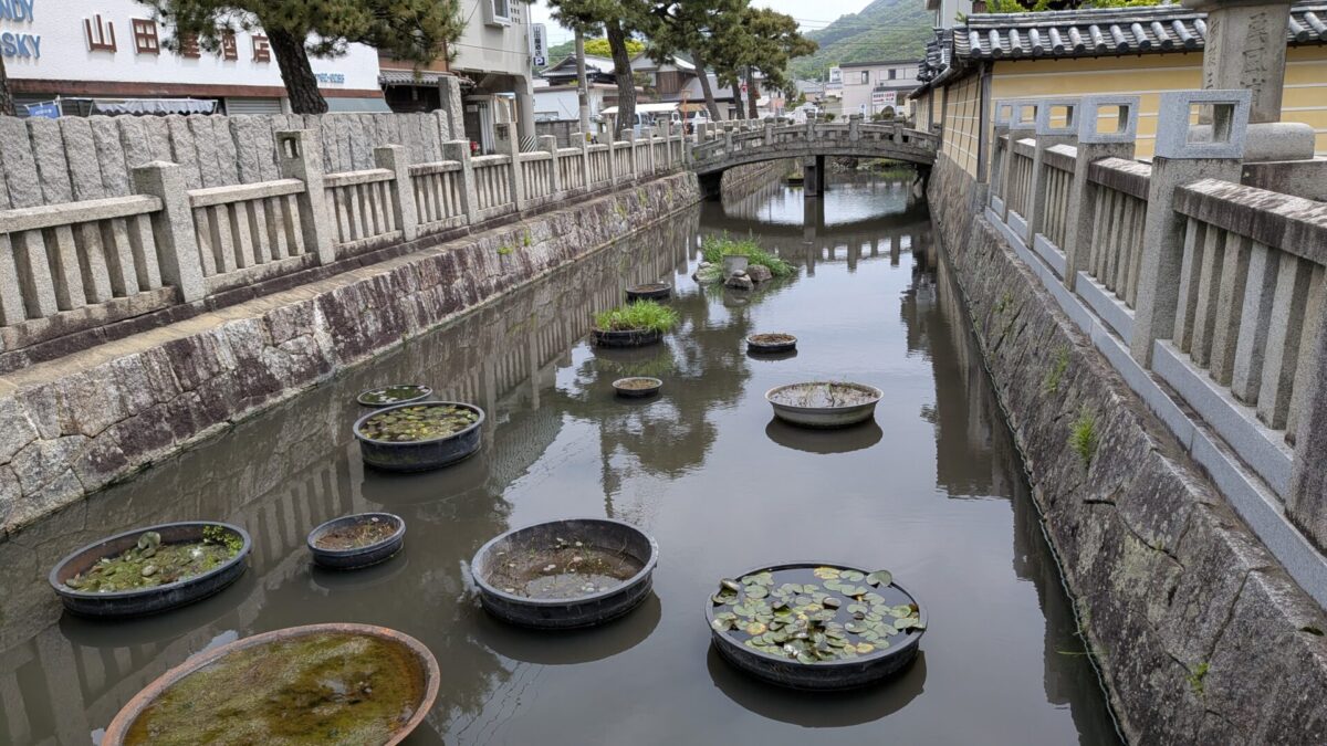 蓮池