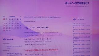 ココログ引越