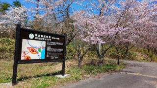 滝沢街道を辿るみち
