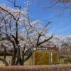 鳥見山公園
